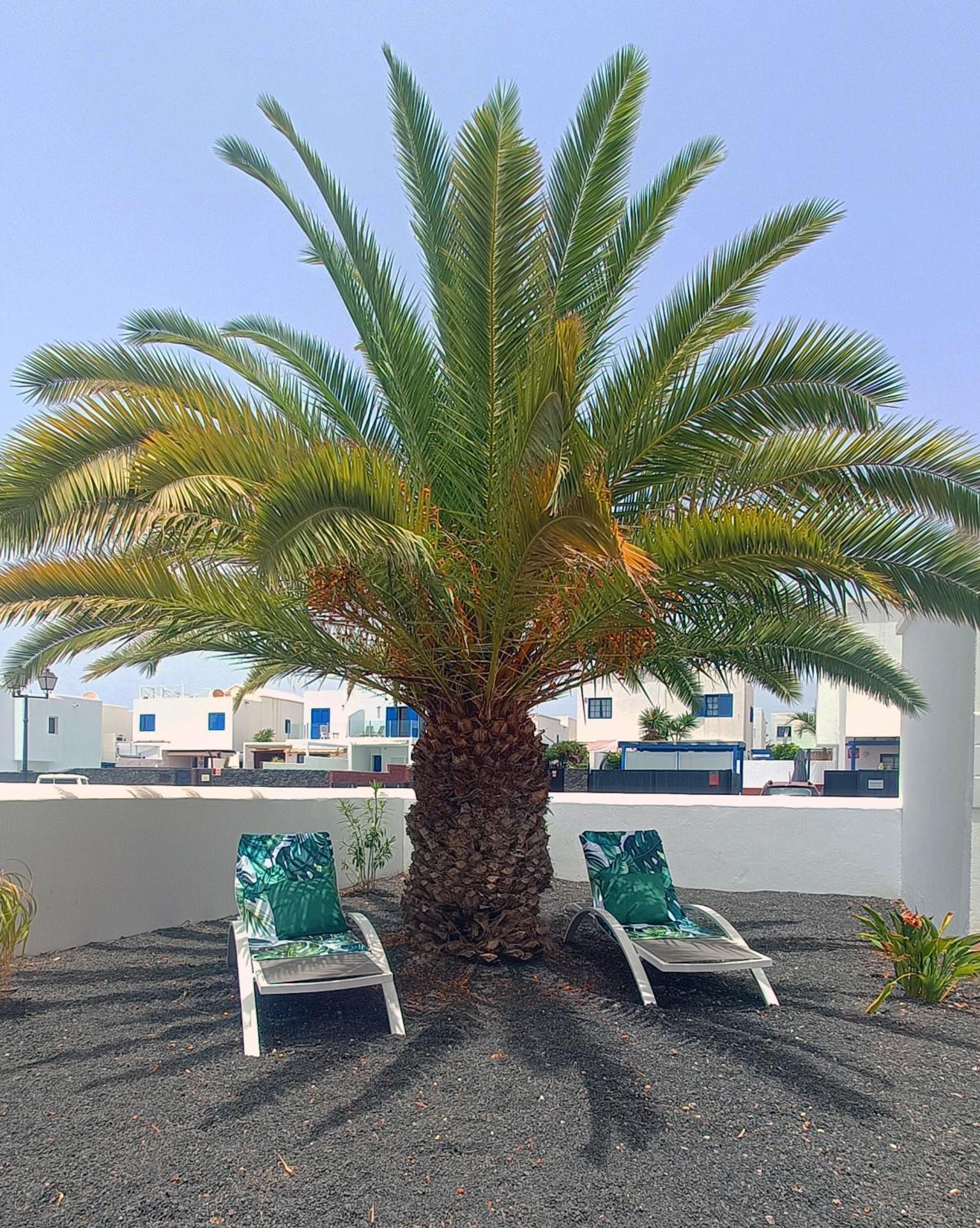 Lovely Casa Felicidad, Swimming Pool, Wifi X Private Garden Playa Blanca  Ngoại thất bức ảnh